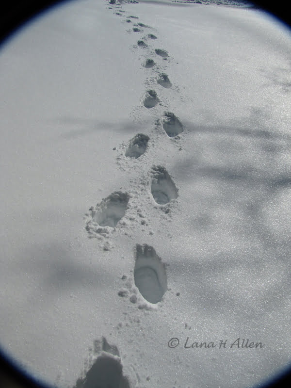 Footsteps in the Snow