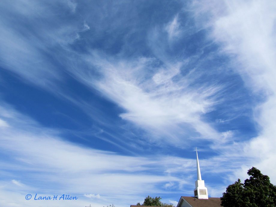 Bird Cloud over Church